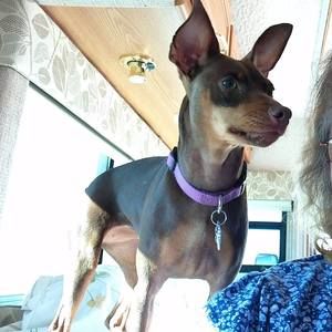 Meet your Posher, Sharon